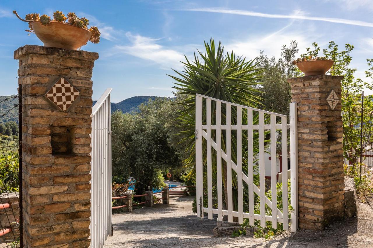 Villa Agia Marina Скопелос Экстерьер фото
