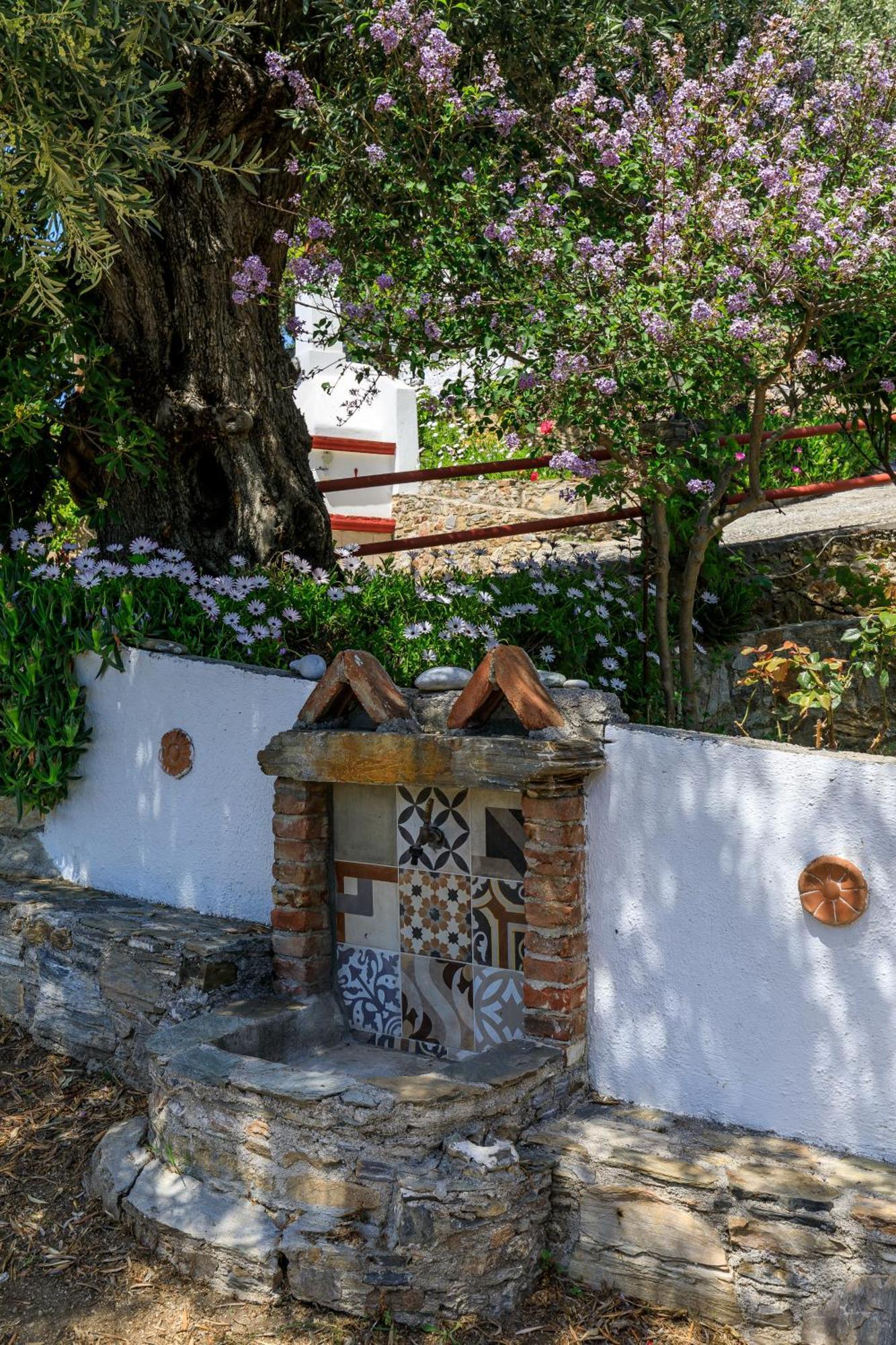 Villa Agia Marina Скопелос Экстерьер фото